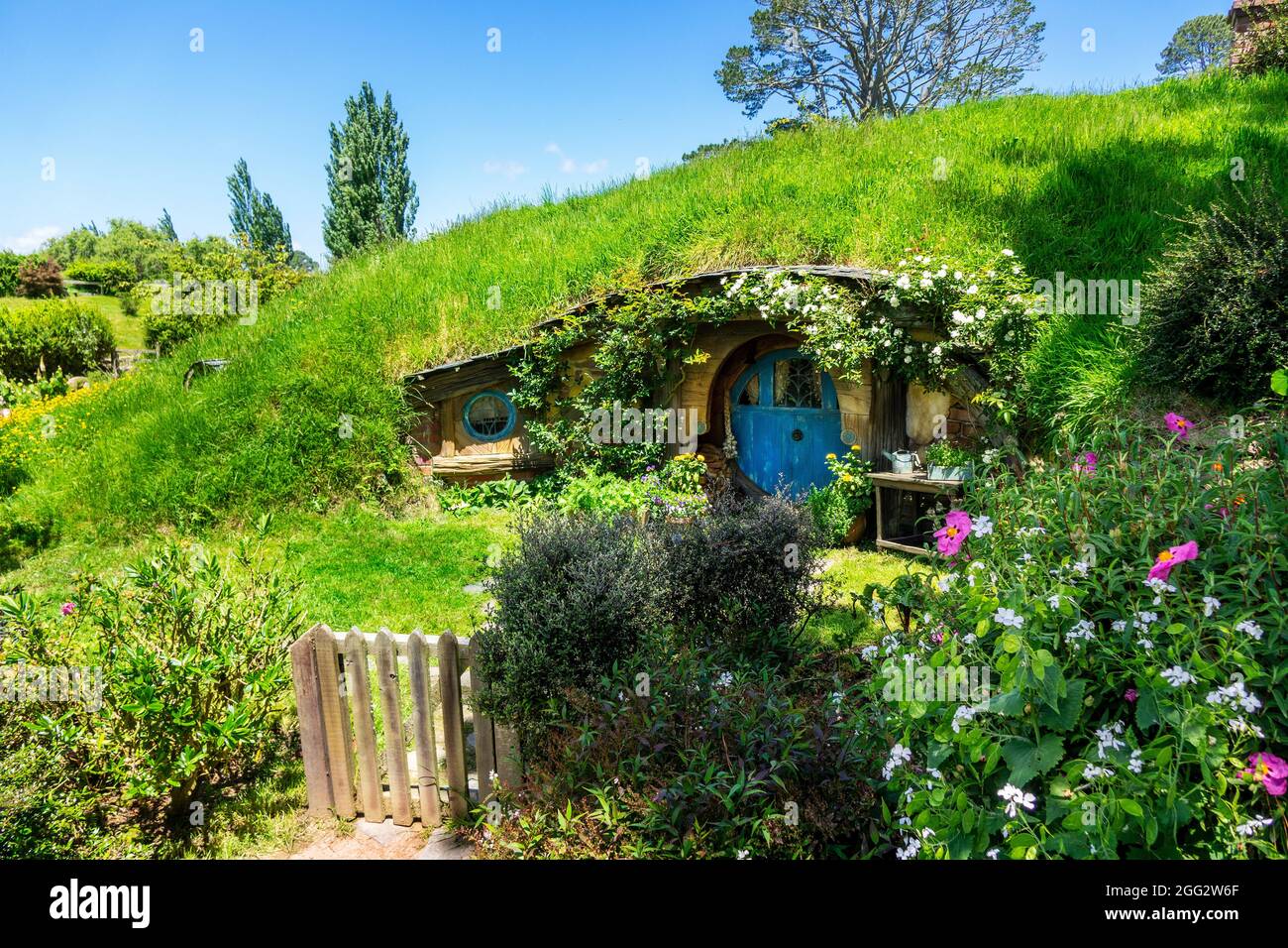 Hobbit Holes Homes on the Hobbiton Movie Set for the Lord of the Rings Movie Trilogy en Matamata, Nueva Zelanda, una atracción turística popular Foto de stock