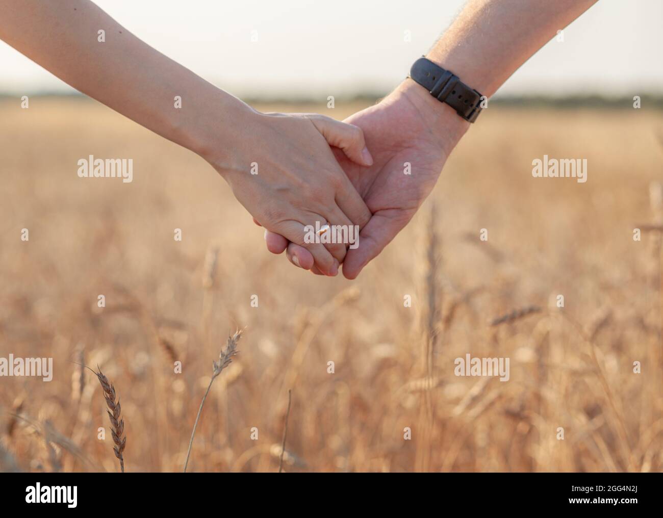 Concepto de amor. Una pareja sosteniendo la mano durante la puesta de sol,  un símbolo de amor y relación feliz. Una joven pareja enamorada camina a  través de un campo de trigo