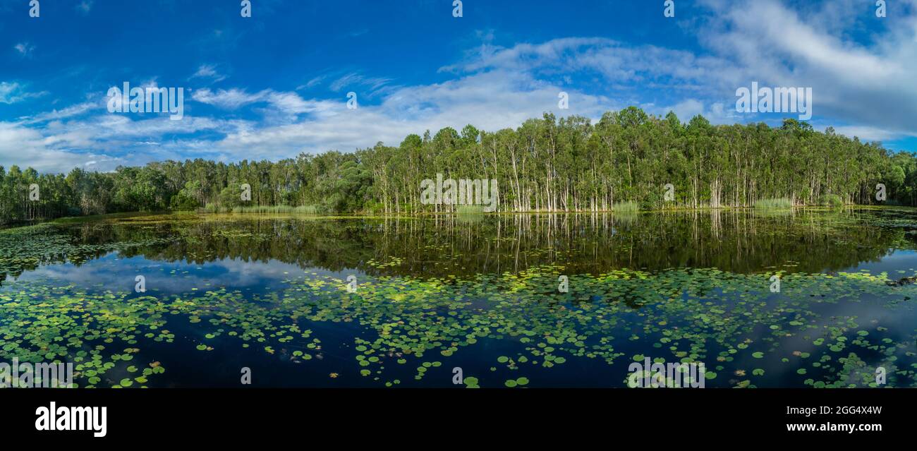 Parque escénico de los lagos de arenisca en Ningi, en la región de la bahía de Moreton, al sudeste de Queensland, Australia Foto de stock