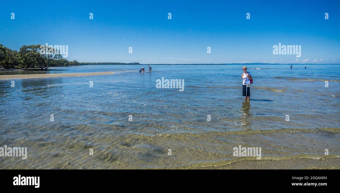 Áreas intermareales de los humedales costeros en Beachmere, Moreton Bay, South East Queensland, Australia Foto de stock
