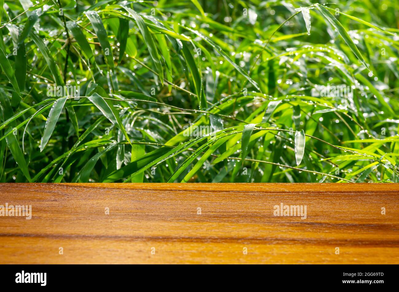 Tabla de madera mesa vacía delante de hojas de bambú después de lloviendo para mostrar el producto Foto de stock