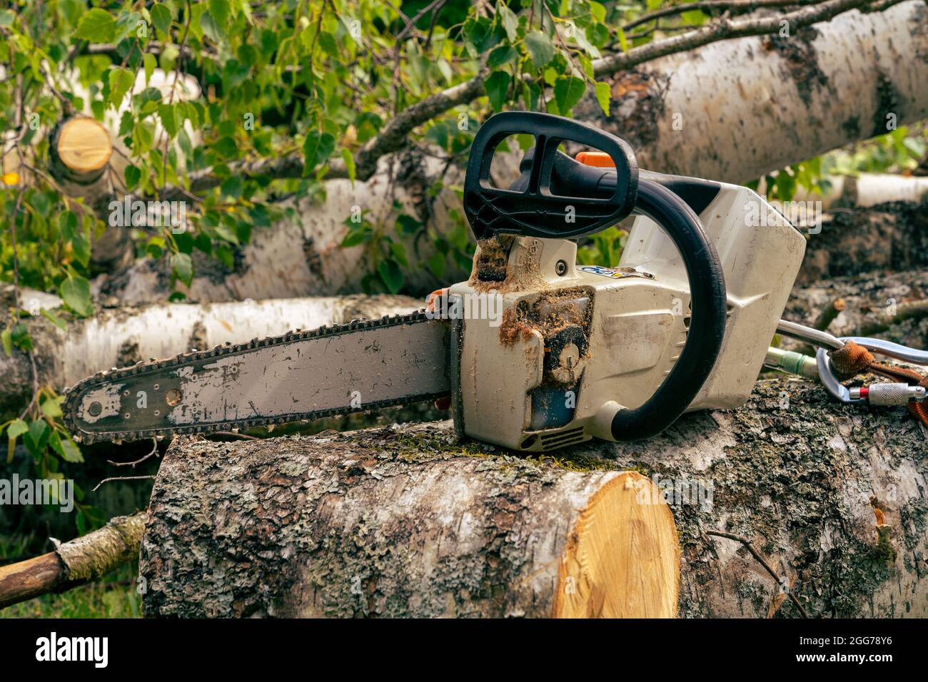 chainsaw de la parte superior del arborista sin cable un chainsaw de la parte superior del arborista con una correa de seguridad se apoya en un registro del abedul Foto de stock