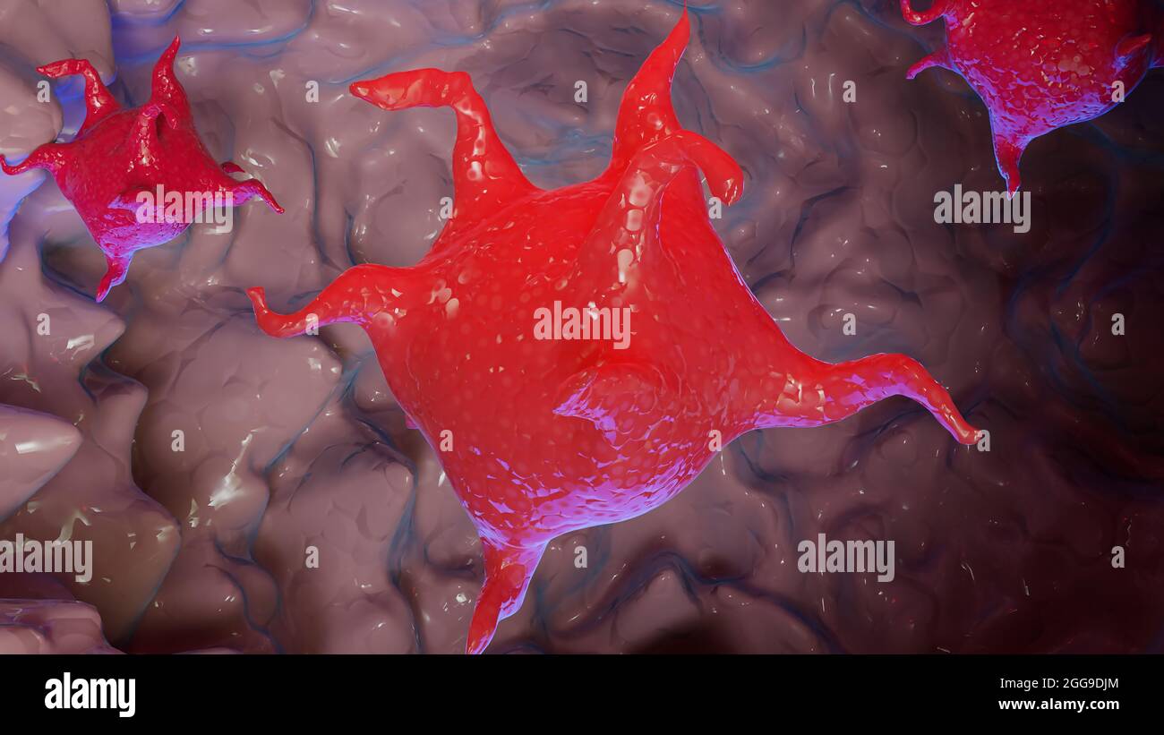 Las plaquetas, las células sanguíneas, 3D se rinden Foto de stock