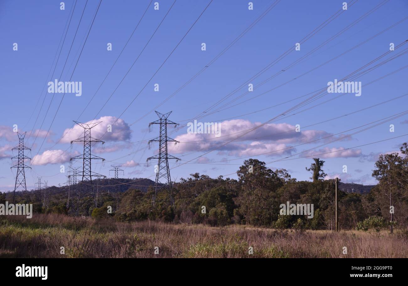 Pilones eléctricos de cable que se elevan en el suburbio de Brisbane, Queensland, Australia Foto de stock