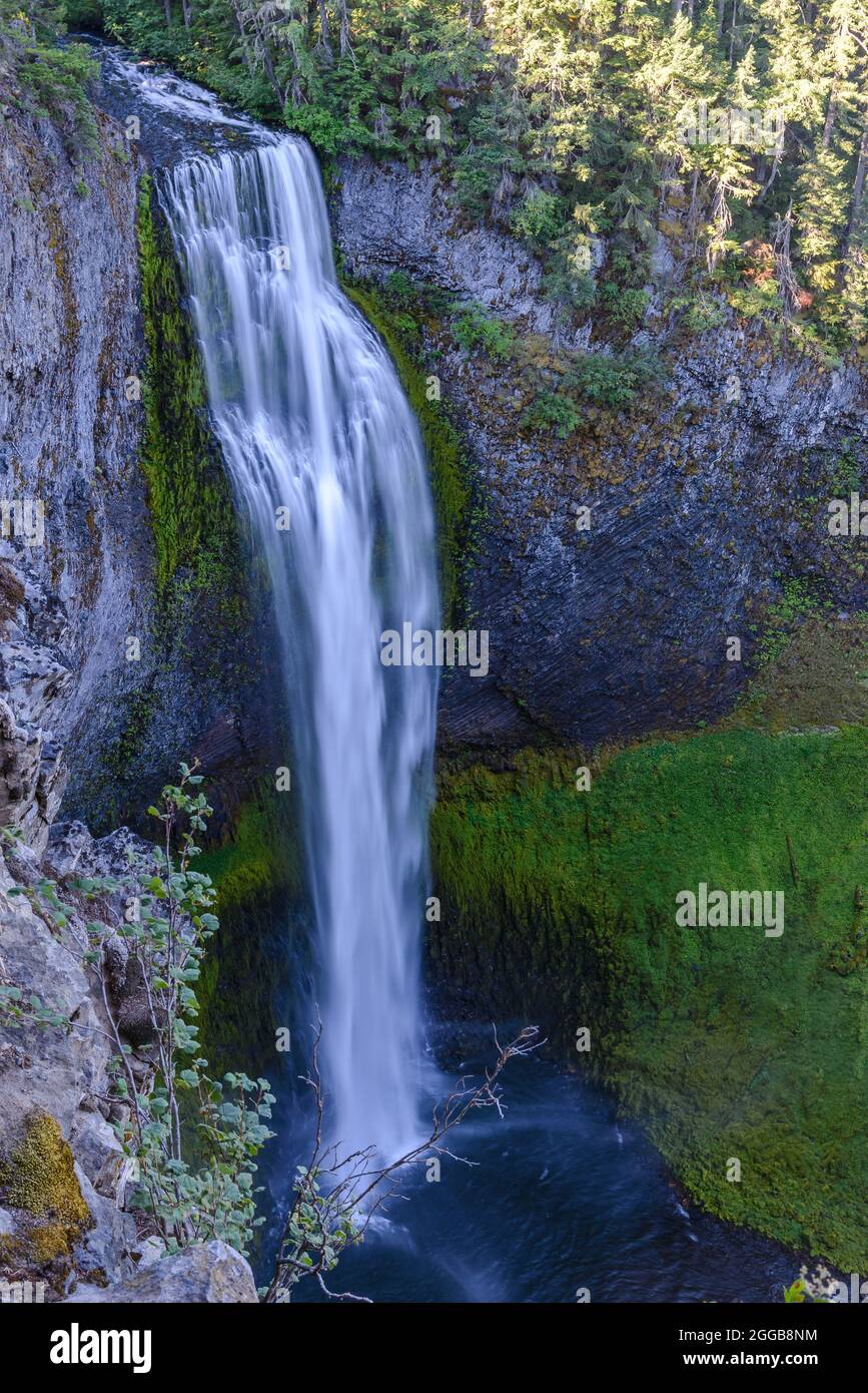 Cataratas de Salt Creek. Oakridge, Oregon, Estados Unidos. Foto de stock