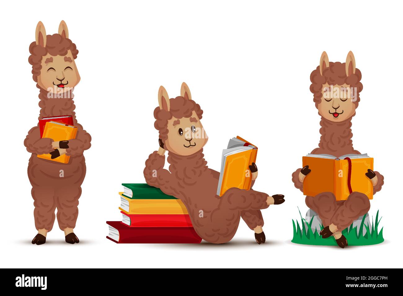 Llama alpaca lee un libro, un conjunto de figuras animales aisladas. Ilustración vectorial en dibujos animados, estilo plano Ilustración del Vector