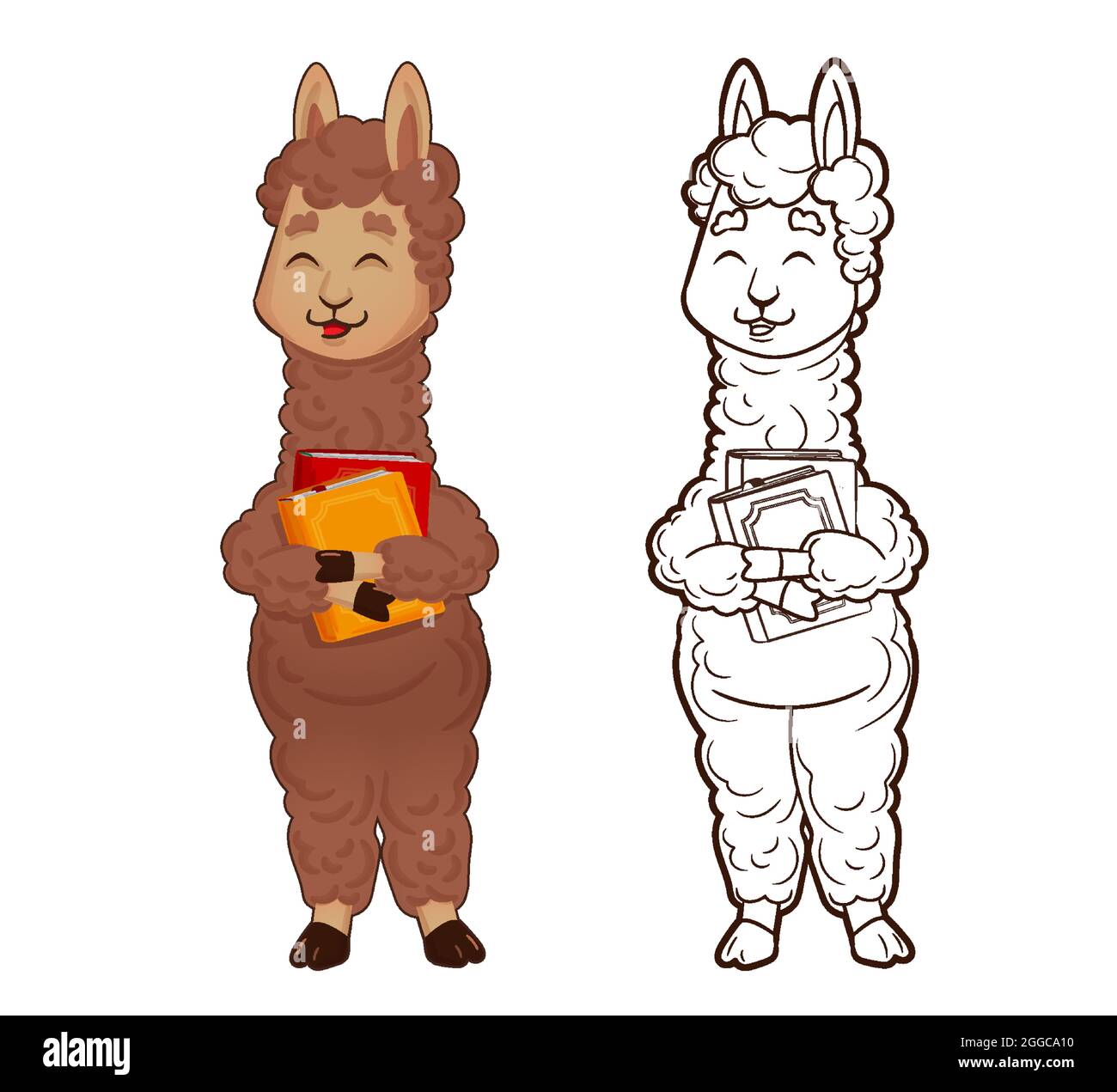 Libro para colorear: Alpaca llama está sosteniendo libros, figura animal aislada. Ilustración vectorial en estilo de dibujos animados, plana Ilustración del Vector