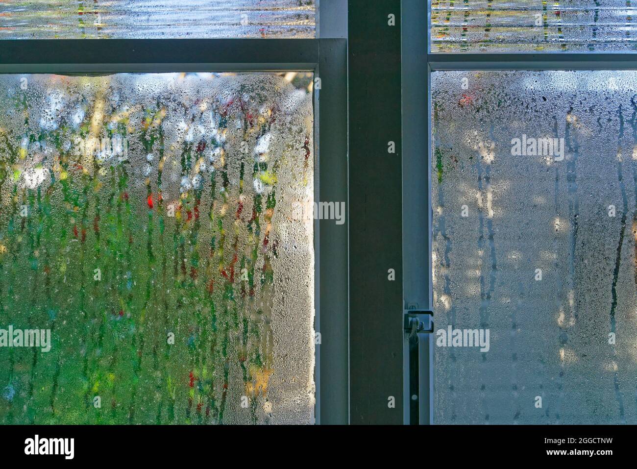 Condensación en el interior de una ventana en una casa húmeda y fría. Foto de stock