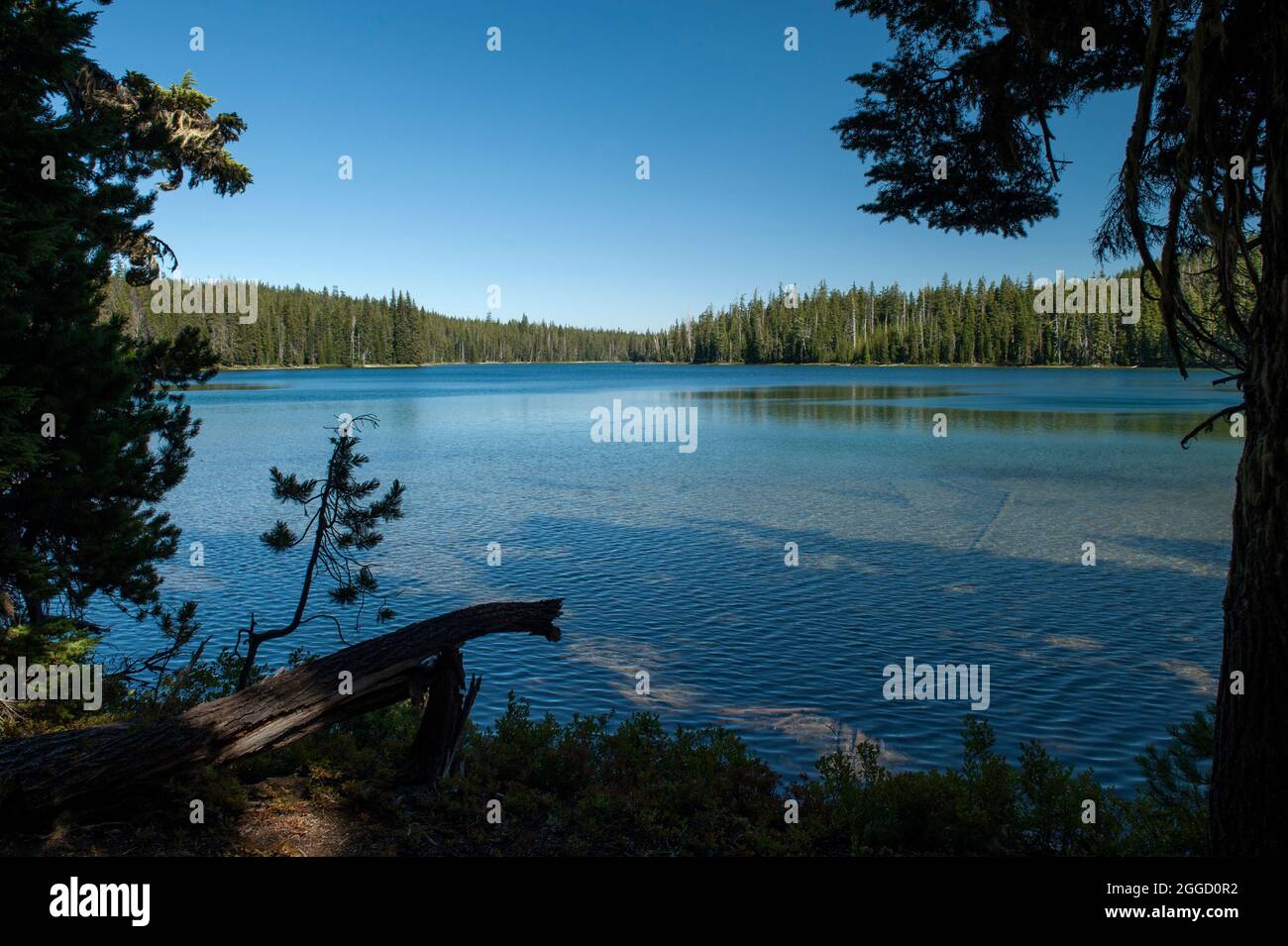 Bobby Lake, cerca de Waldo Lake justo al lado de Pacific Crest Trail, Oregon Foto de stock