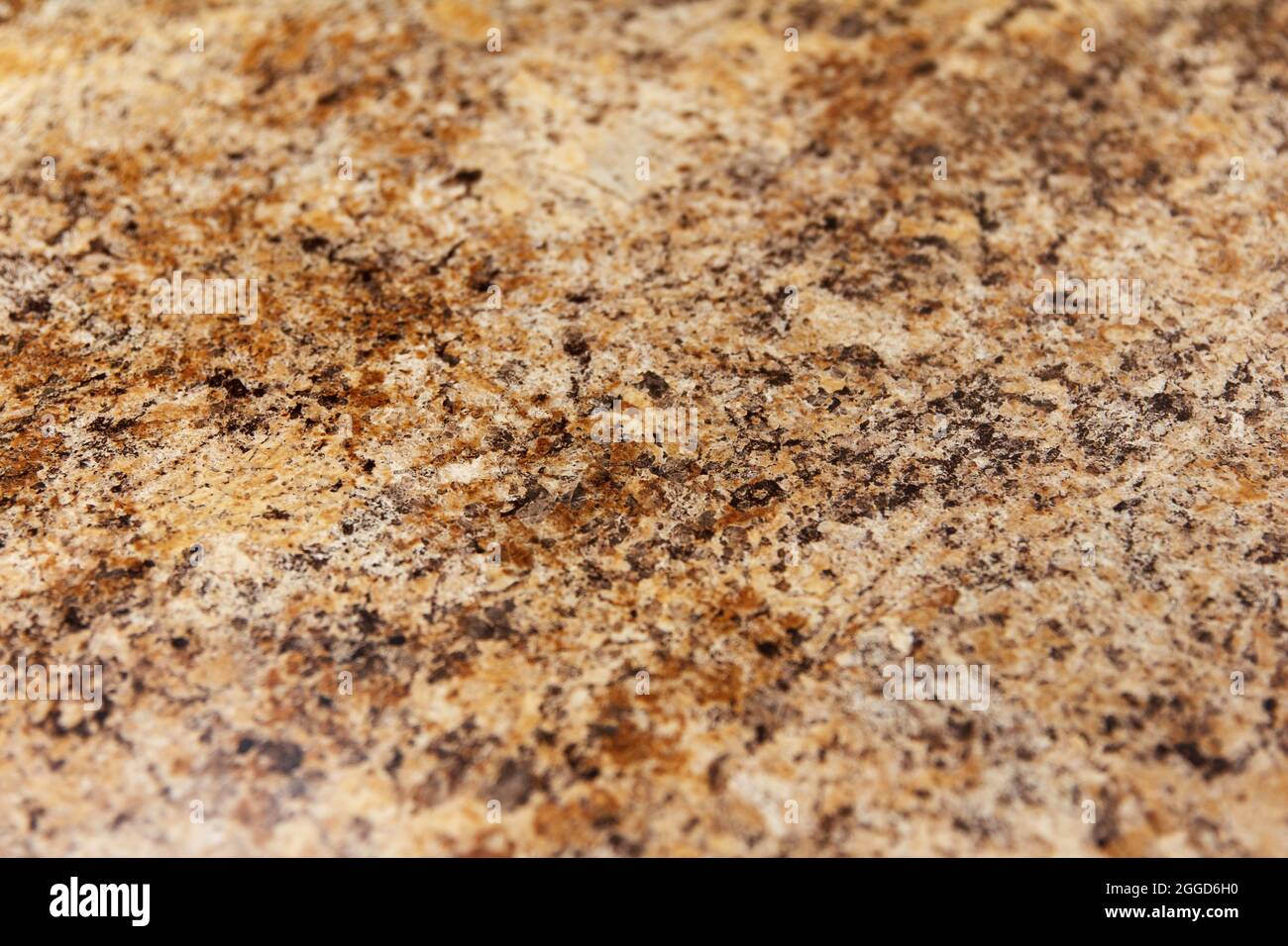 Nuevo Fondo De Pantalla En La Cocina Fotos e Imágenes de stock - Alamy