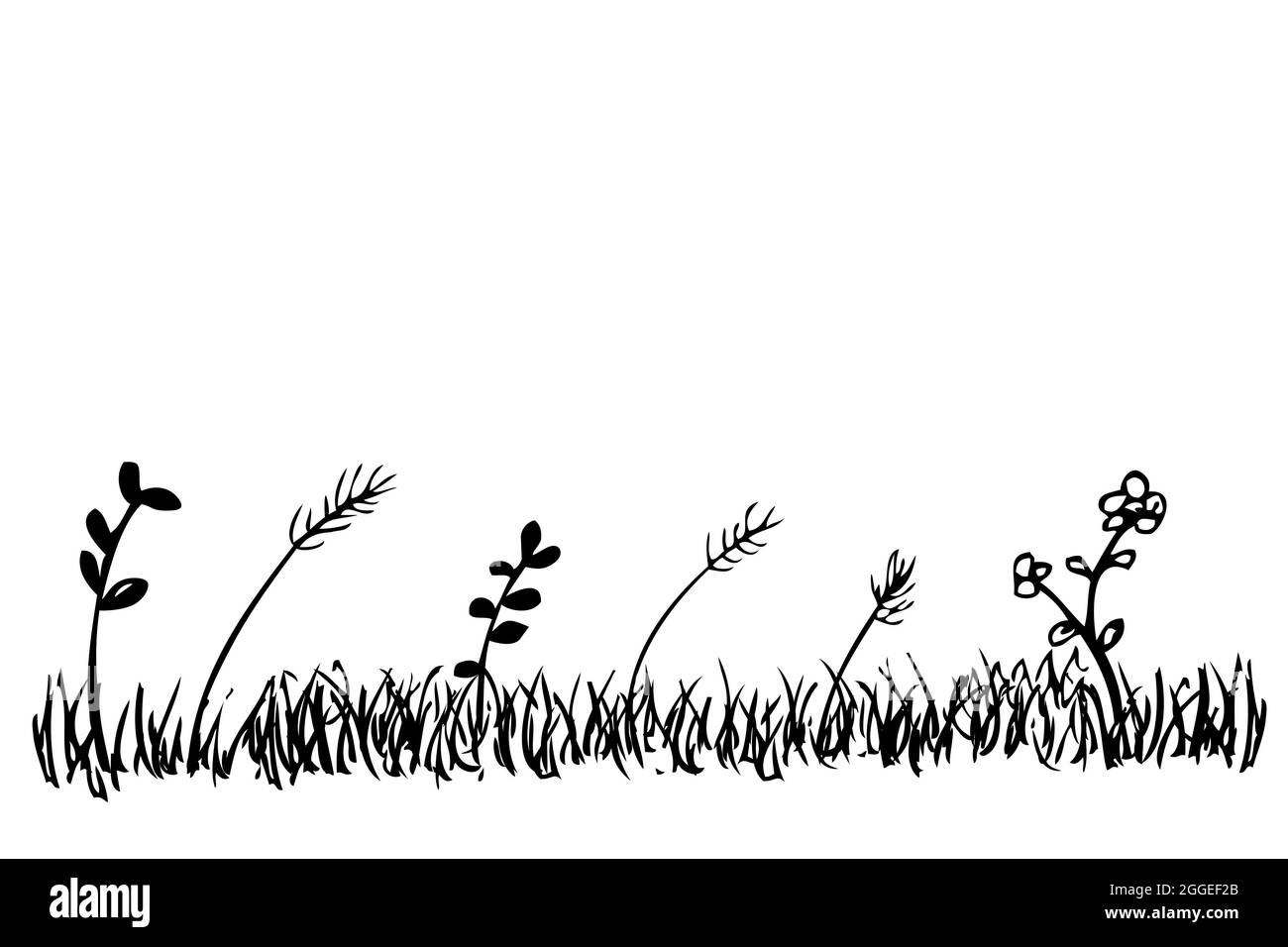 Silueta vectorial Dibujo a mano Sketch Hierba, maleza y flor salvaje Ilustración del Vector