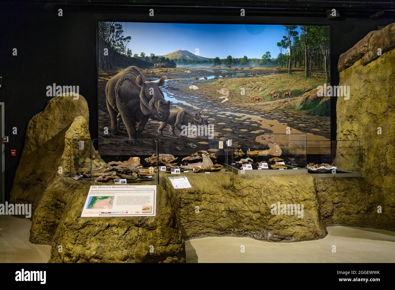 Exposición en el Monumento Nacional John Day Fossil Beds. Kimberly, Oregón, EE.UU. Foto de stock