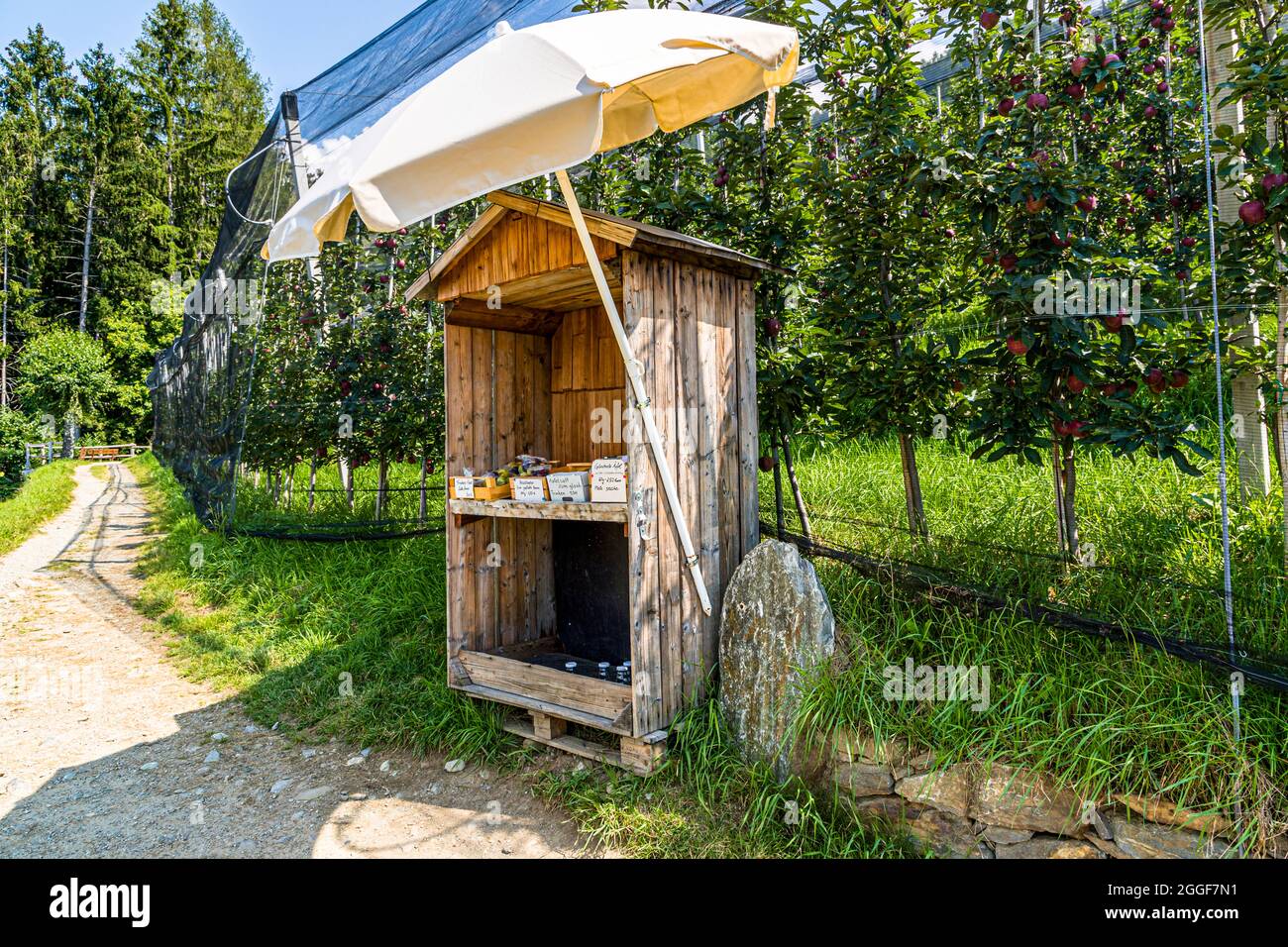 Cobertizo de jardín exterior en primavera, con leñera Fotografía de stock -  Alamy