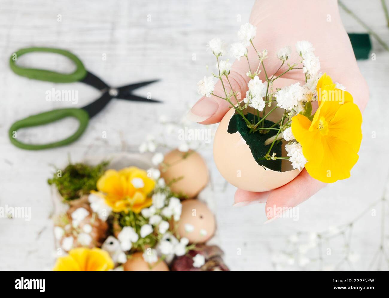 Floristería en el trabajo: Cómo hacer un arreglo floral simple de pascua  con una caja de huevo de papel común, flores de primula, ramitas de yeso  paniculata y musgo. Paso Fotografía de