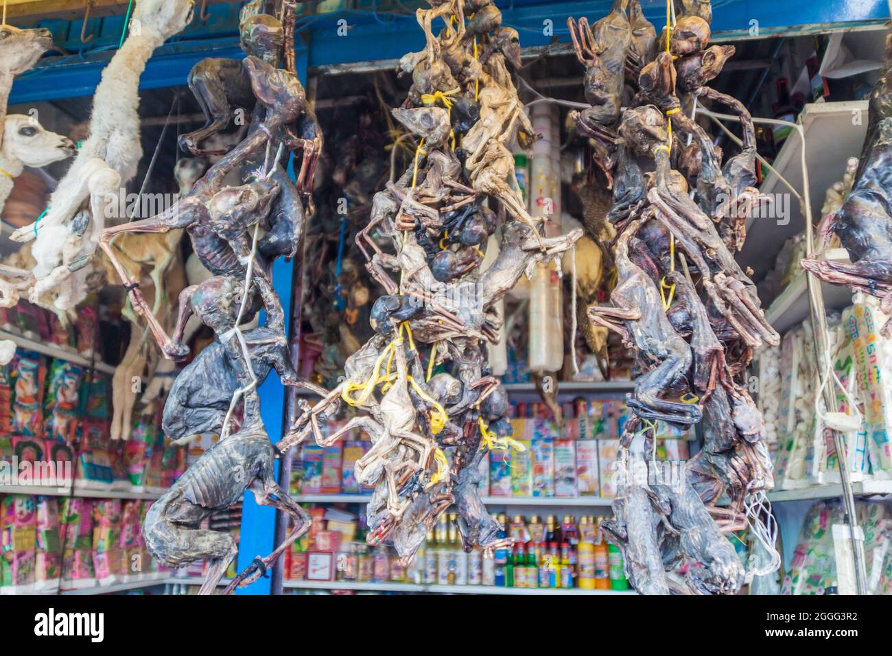 Mercado De Brujas Fotos e Imágenes de stock - Alamy