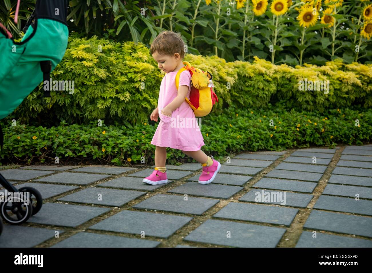 adorable niña en vestido rosa con mochila bebé camine la carretera en vista lateral del parque de stock - Alamy