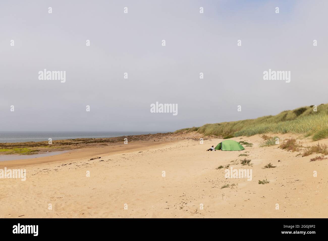 Campamento salvaje Escocia Reino Unido; una persona acampada salvaje en una tienda de campaña en la playa de Gullane, Firth of Forth, Escocia Reino Unido Foto de stock