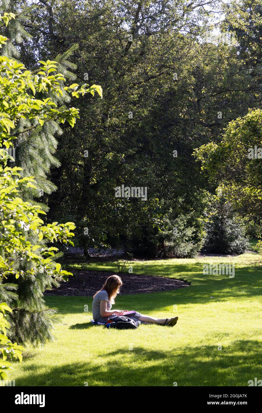 Una mujer sentada leyendo en un jardín bajo el sol de verano, concepto - paz, tranquilidad, tranquilidad, Soledad; Reino Unido Foto de stock