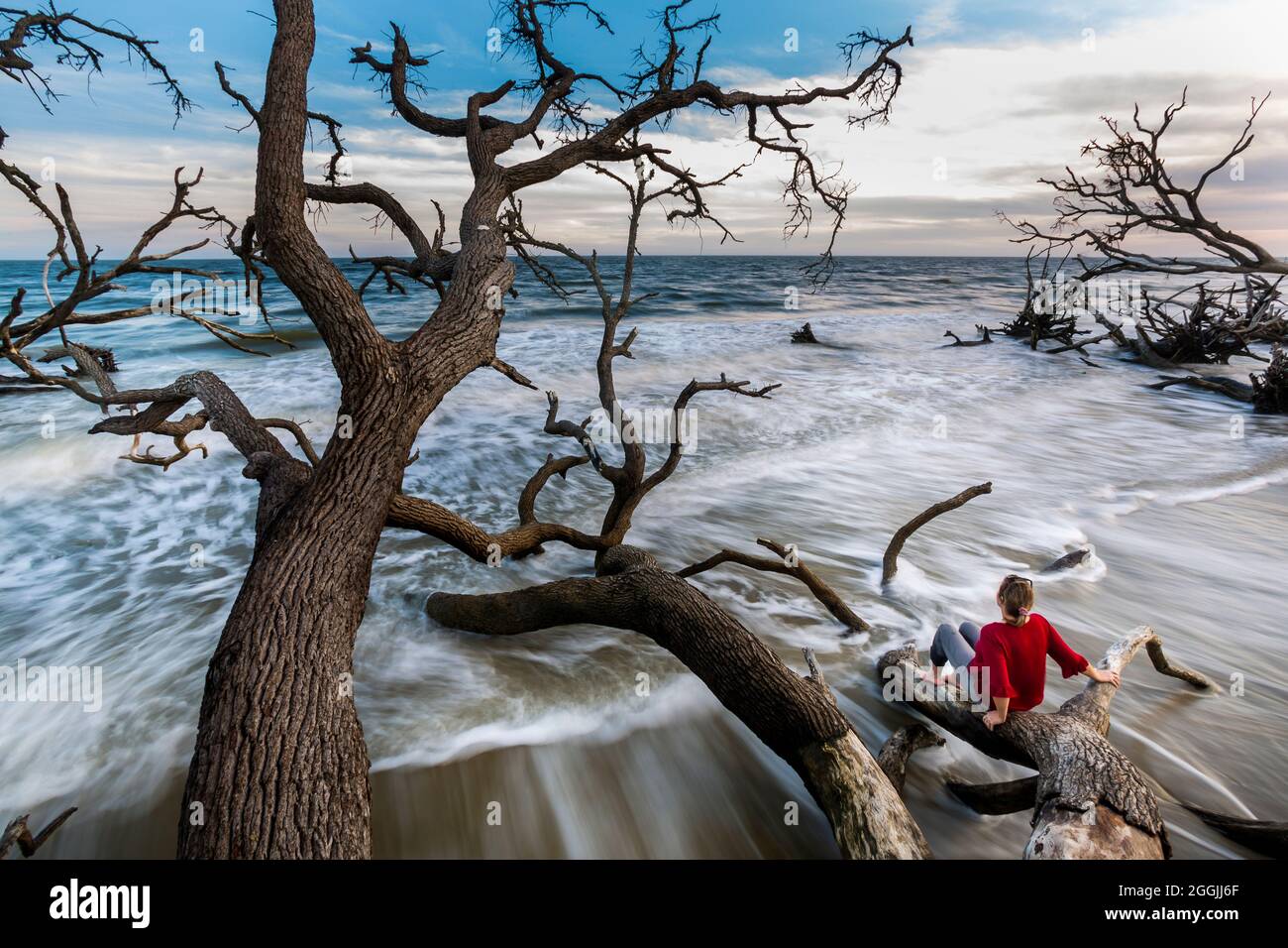 Playa Boneyard en Botany Bay en la Isla Edisto, Carolina del Sur. Foto de stock