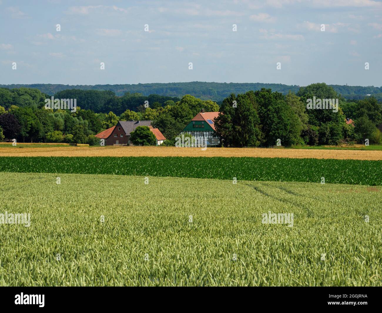 Vista sobre el paisaje de Grönegau cerca de Melle, Osnabrücker Land, Baja Sajonia, Alemania Foto de stock