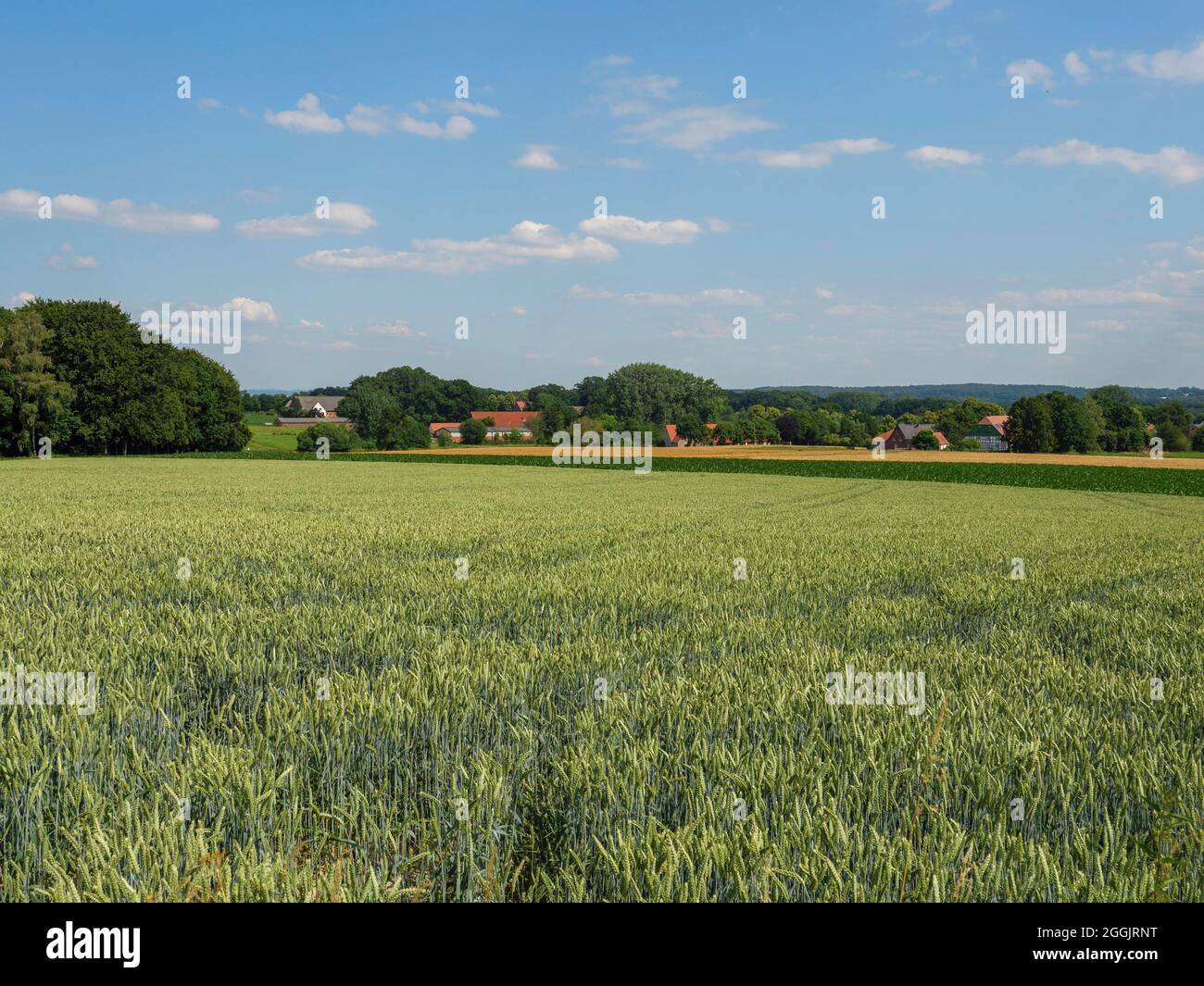 Vista sobre el paisaje de Grönegau cerca de Melle, Osnabrücker Land, Baja Sajonia, Alemania Foto de stock