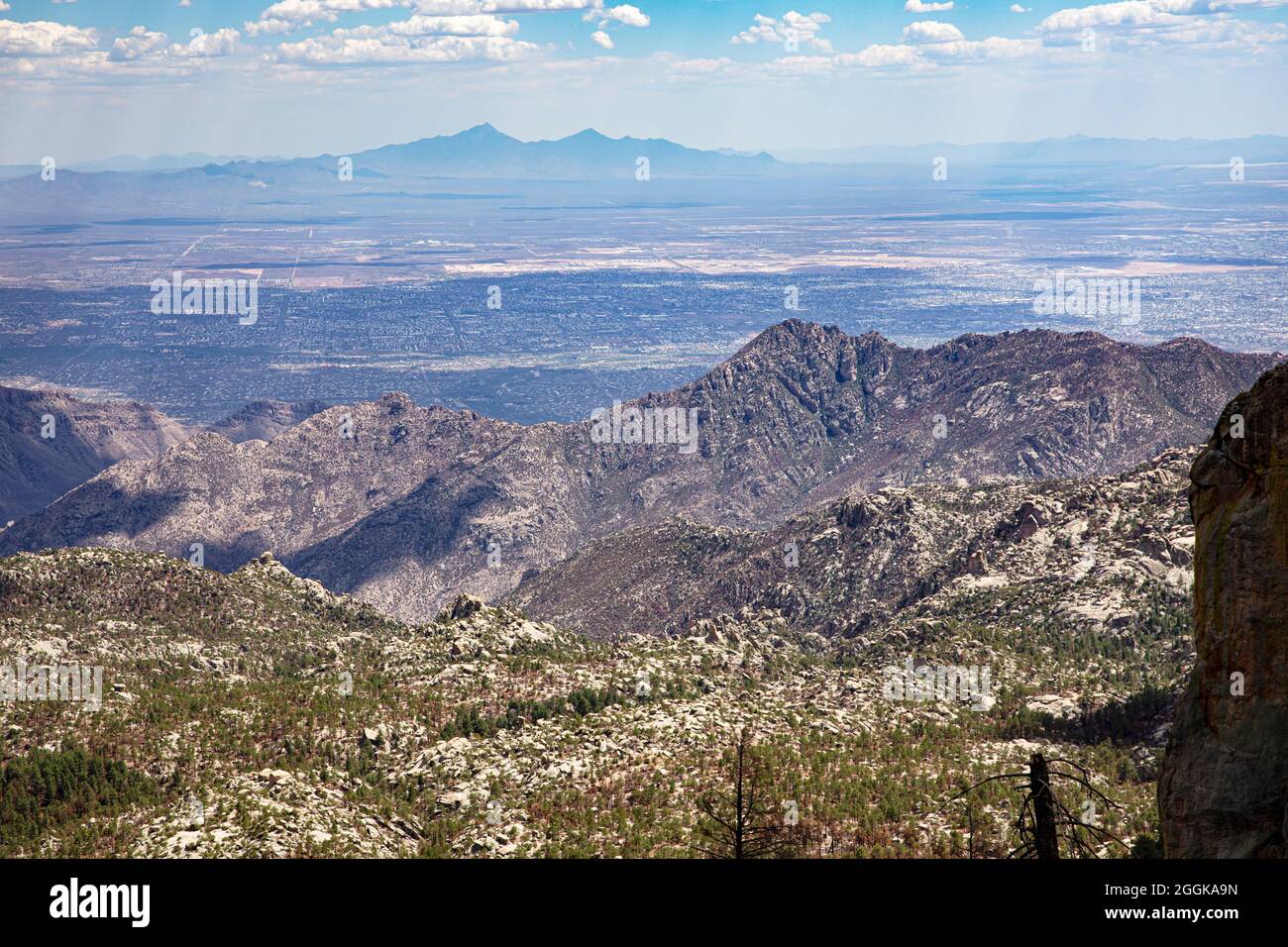 Vista desde la cima del Monte Lemmon, Montañas Santa Catalina, con vistas a Tucson. Montañas Santa Rita y Mt. Wrightson en la distancia. Sur de Arizona, Foto de stock