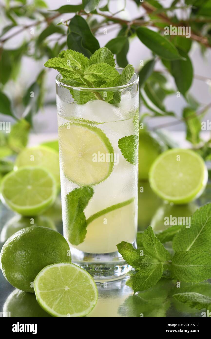 Refrescante cóctel Mojito orgánico elaborado con limón fresco, ron blanco combinado con zumo y menta. Este es el cóctel perfecto para los días de verano Fotografía de stock - Alamy