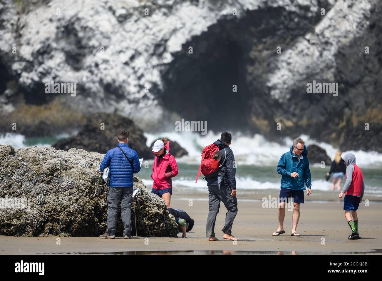 Los turistas disfrutan de un paseo por la playa. Cannon Beach, Oregon, Estados Unidos. Foto de stock