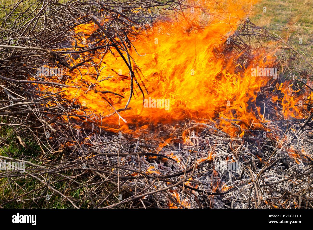 Chispa Del Fuego De Bengala Foto de archivo - Imagen de verano