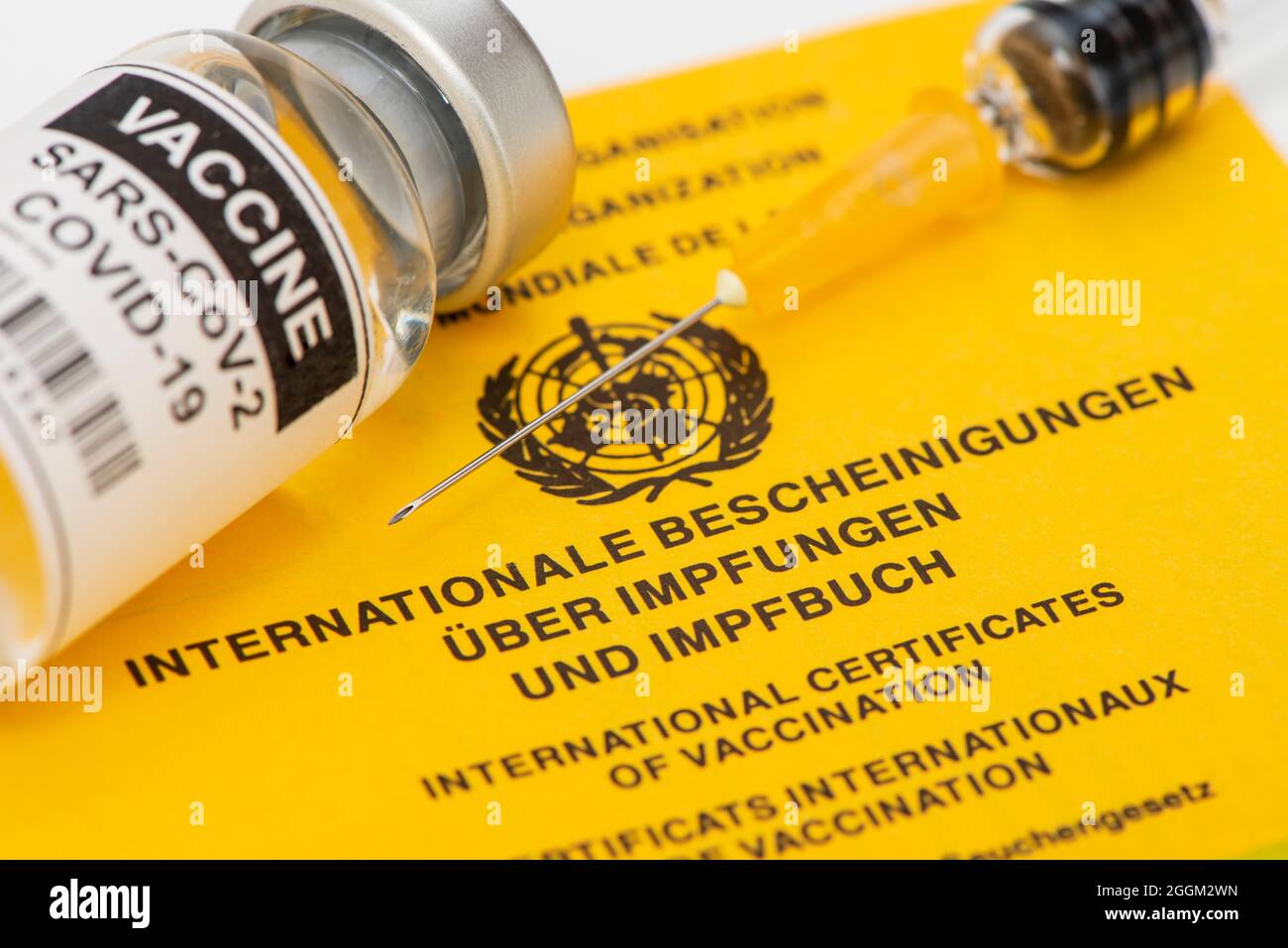 Vacuna con jeringa y certificado internacional de vacunas y libro de vacunación Foto de stock