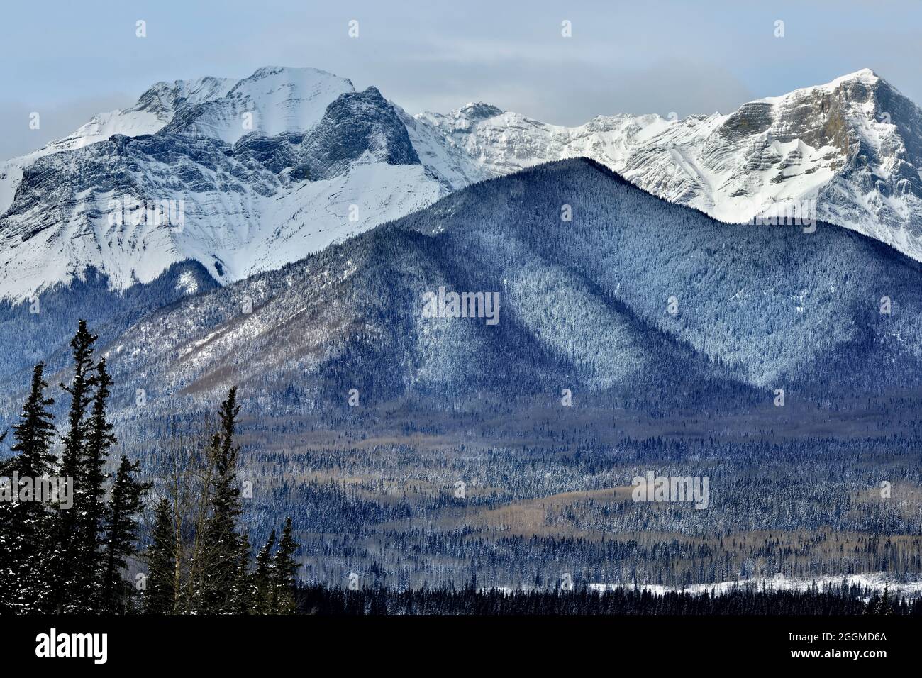 Una imagen del paisaje de las magníficas montañas rocosas canadienses en un invierno en Alberta en Brule Alberta, Canadá. Foto de stock