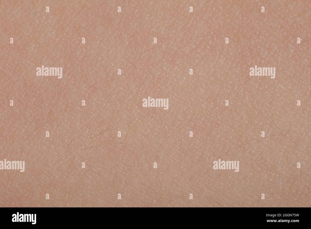 Vista de primer plano de la macro de patrón de piel humana en color beige Foto de stock