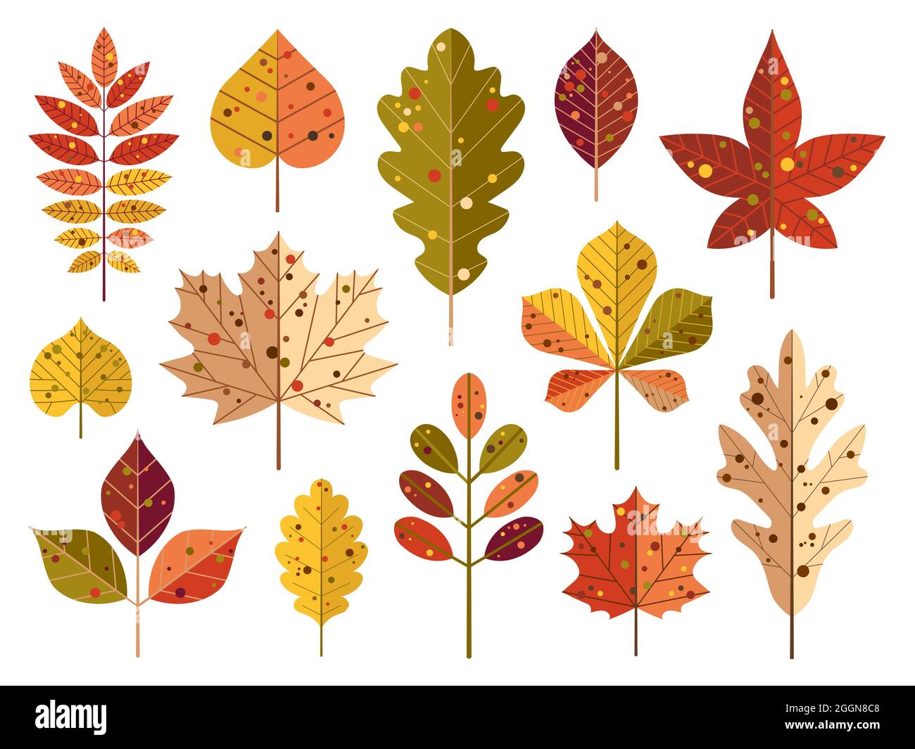 Dibujos animados Hojas de árbol de otoño y follaje de otoño Imagen Vector  de stock - Alamy