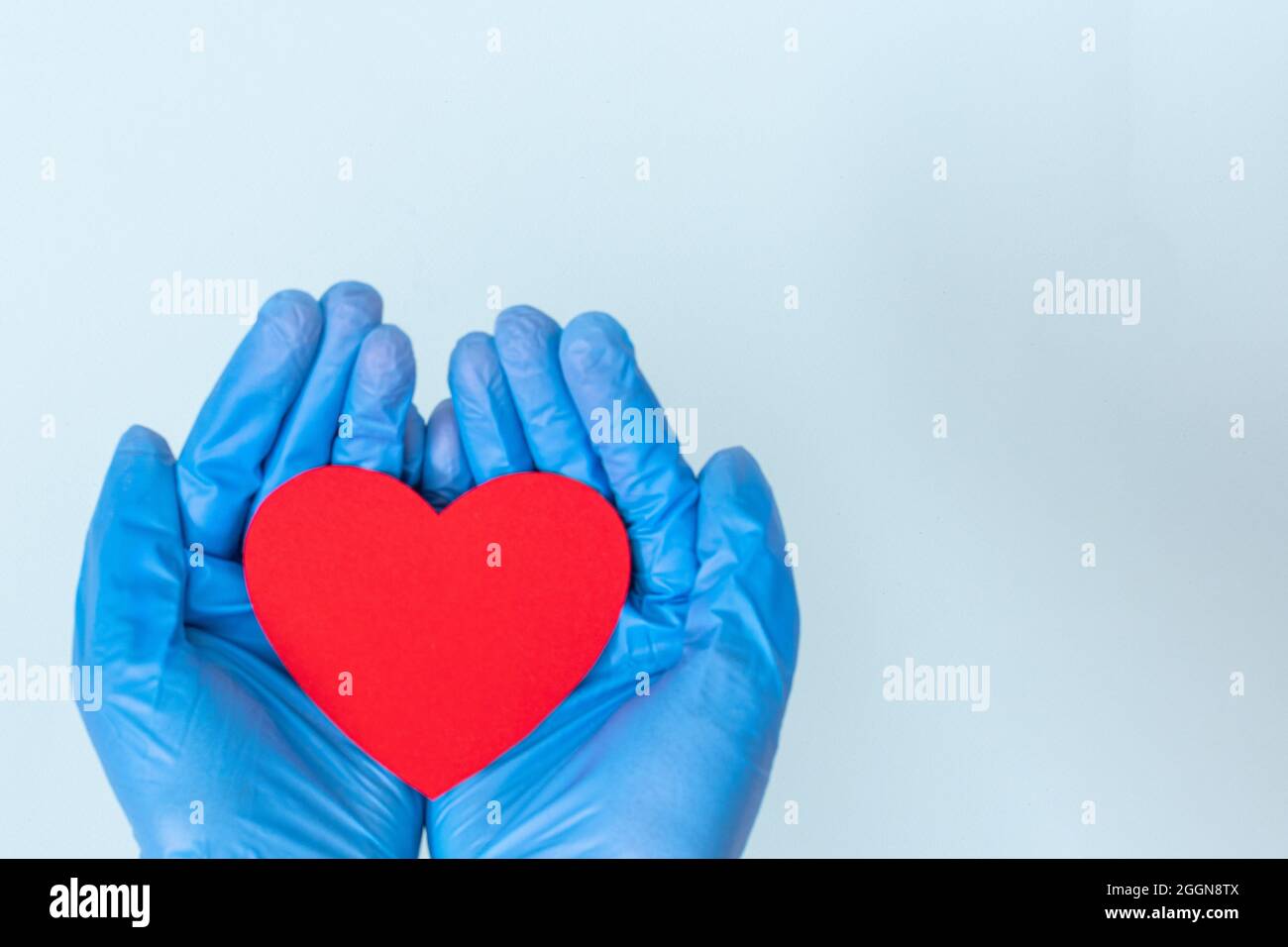 Dos manos en guantes médicos azules sosteniendo una forma de corazón rojo sobre un fondo azul, espacio de copia. Amor, concepto de salud. Foto de stock