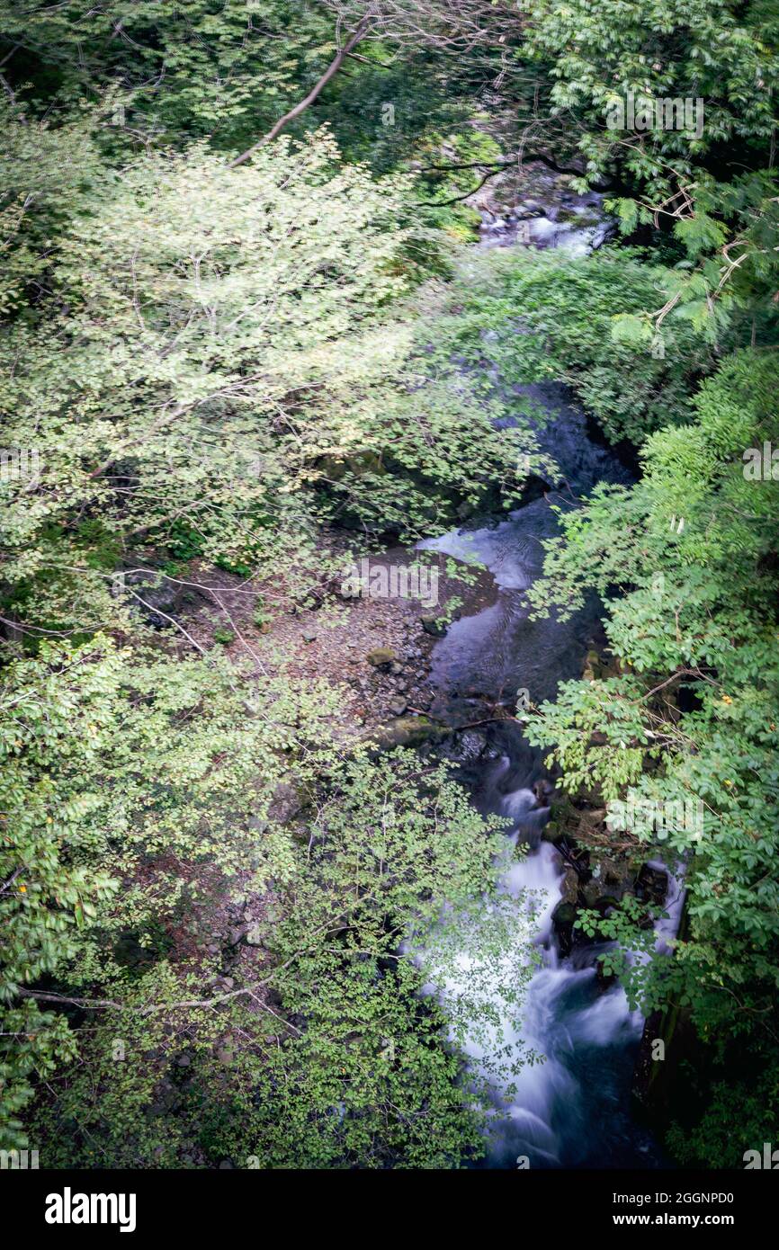 Hermoso río con la temporada de verano de bosque en Japan.Slow obturador. El mejor lugar natural Foto de stock