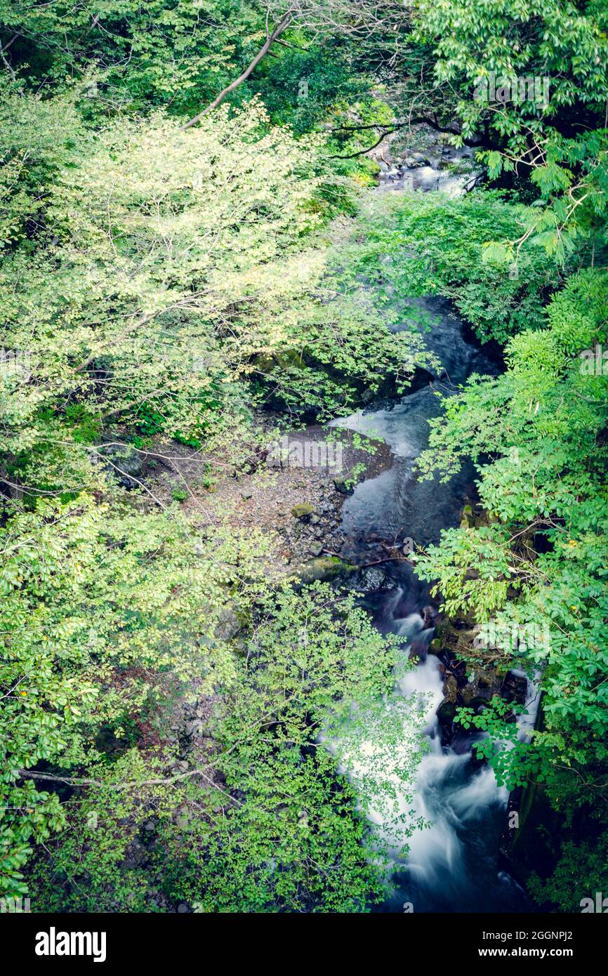 Hermoso río con la temporada de verano de bosque en Japan.Slow obturador. El mejor lugar natural Foto de stock