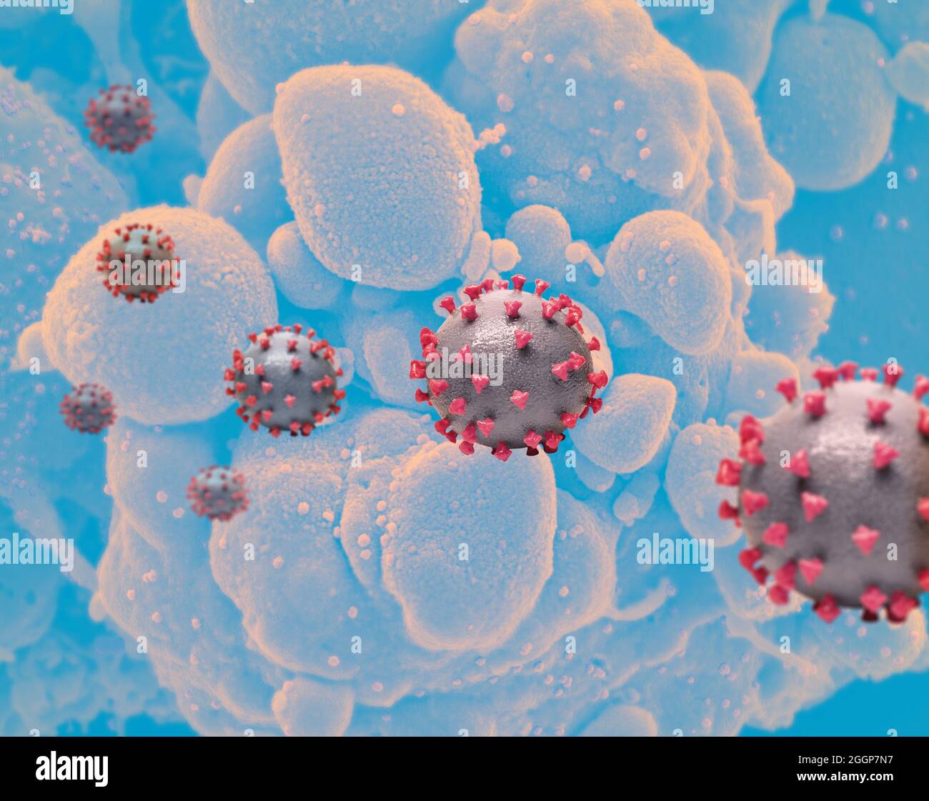 Reproducción creativa de partículas del virus SARS-CoV-2. Foto de stock