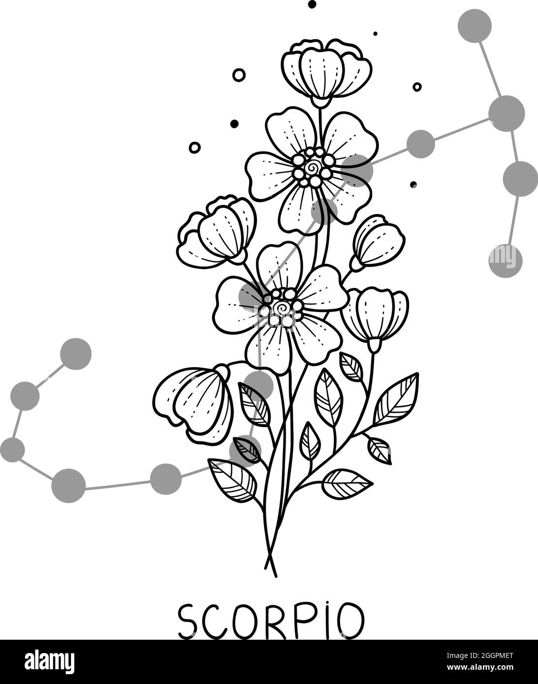 Escorpio horóscopo flor icono contorno vector. Astrología signo zodiaco Imagen Vector de stock - Alamy Escorpio horóscopo flor icono contorno vector. Astrología signo zodiaco Imagen Vector de stock - Alamy
