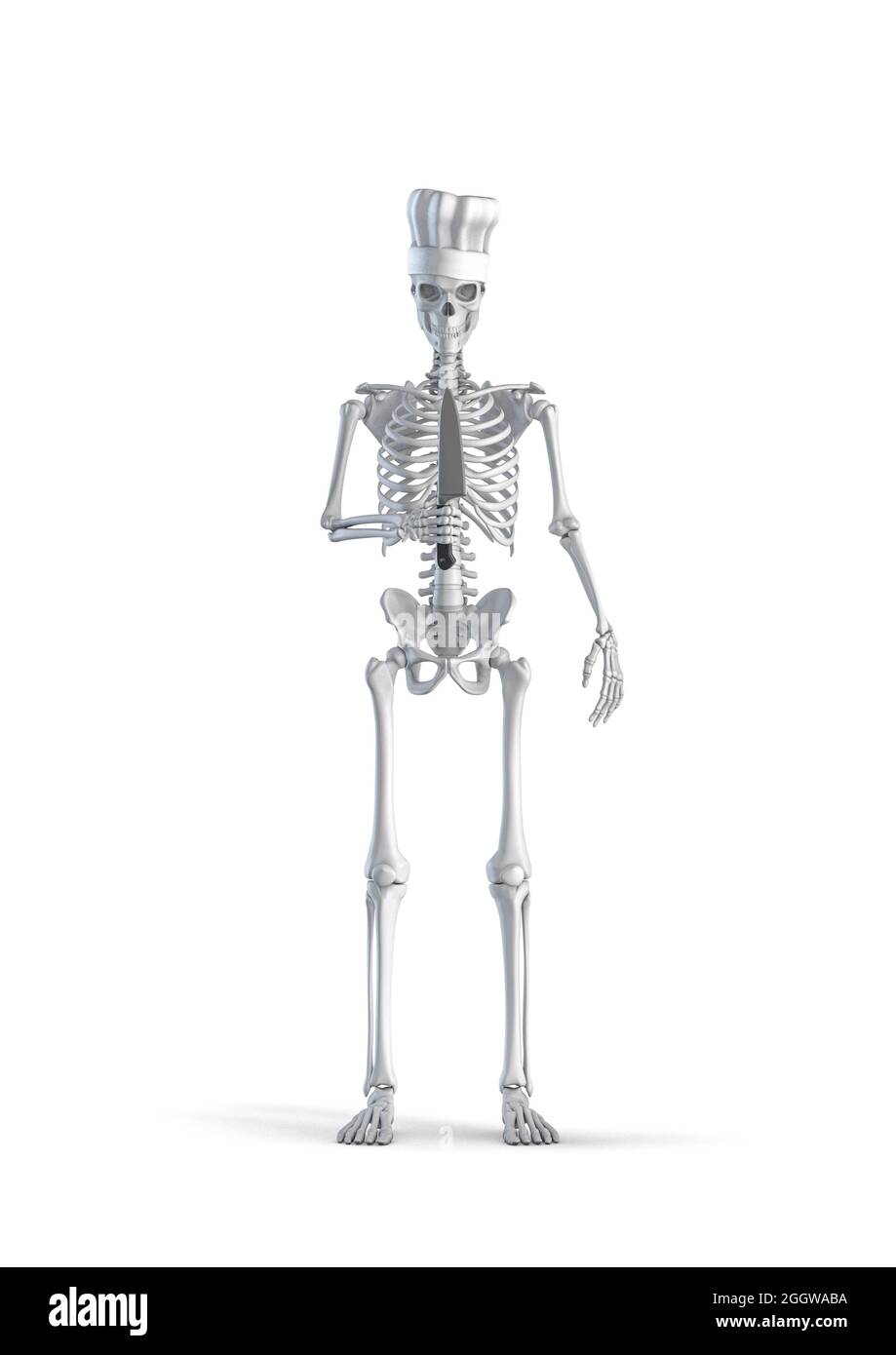 Esqueleto de chef de cocina - 3D ilustración de figura de esqueleto humano  macho con sombrero de chef y sosteniendo un cuchillo de cocina grande  aislado en el fondo blanco del estudio