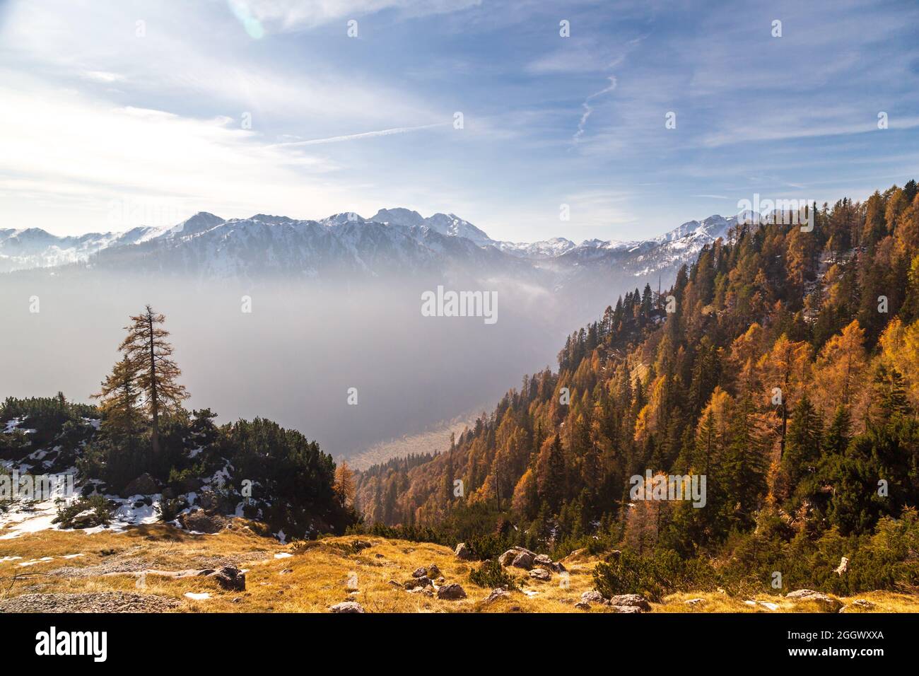 Octubre trekking en las montañas de Val Pesarina, Friuli-Venecia Julia. Foto de stock
