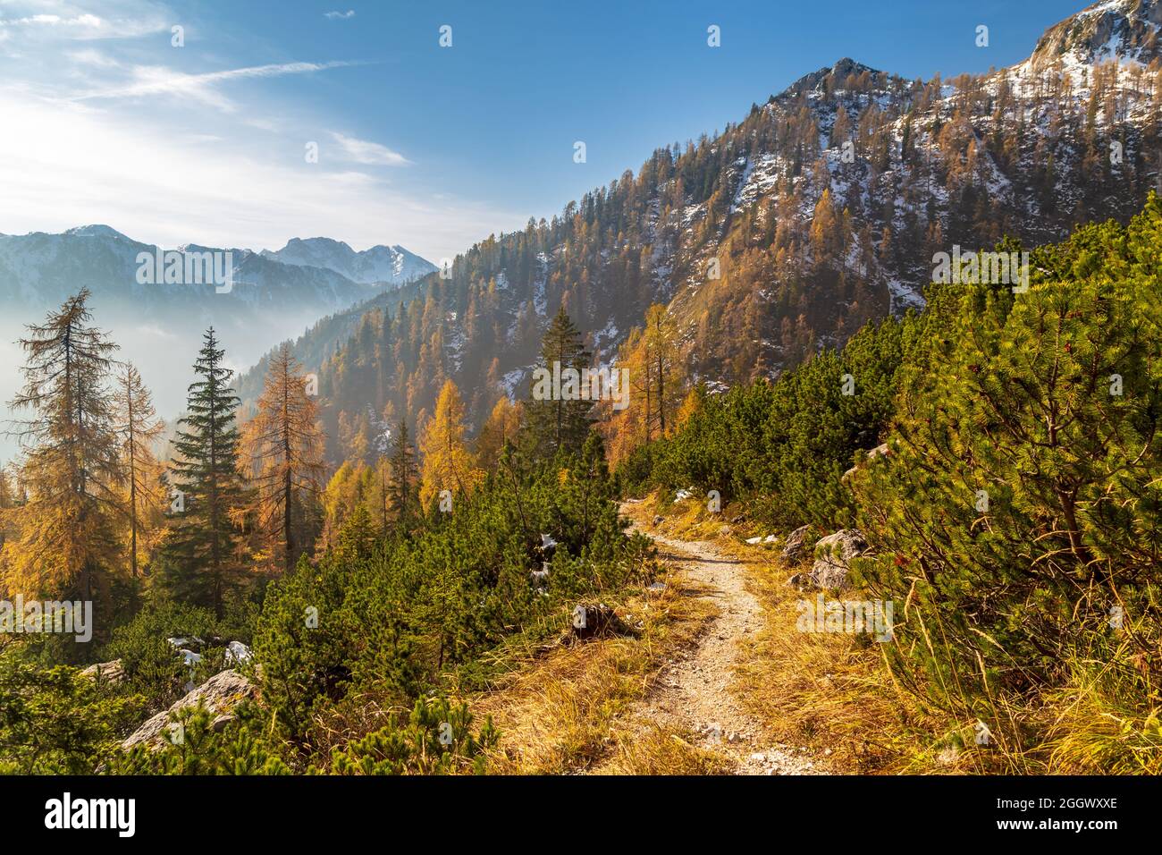 Octubre trekking en las montañas de Val Pesarina, Friuli-Venecia Julia. Foto de stock