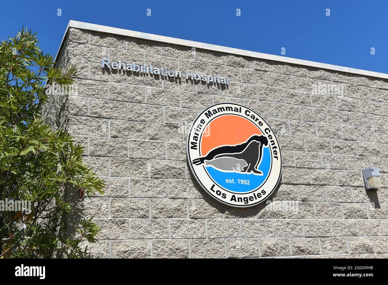 SAN PEDRO, CALIFORNIA - 27 DE AGOSTO de 2021: Firma en el Marine Mammal Care Center en Gaffey Street, un hospital sin fines de lucro para focas y leones marinos que se hebra Foto de stock