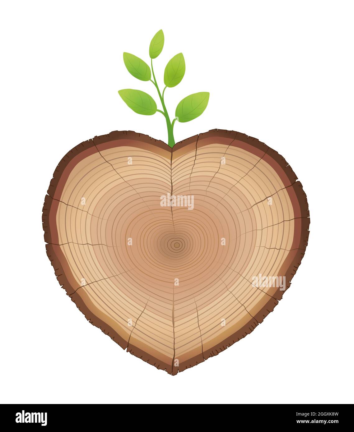 Corte de árbol, en forma de corazón, con brotes jóvenes que crecen de él - tronco de madera con ramita verde - símbolo de la naturaleza amorosa y el crecimiento. Foto de stock