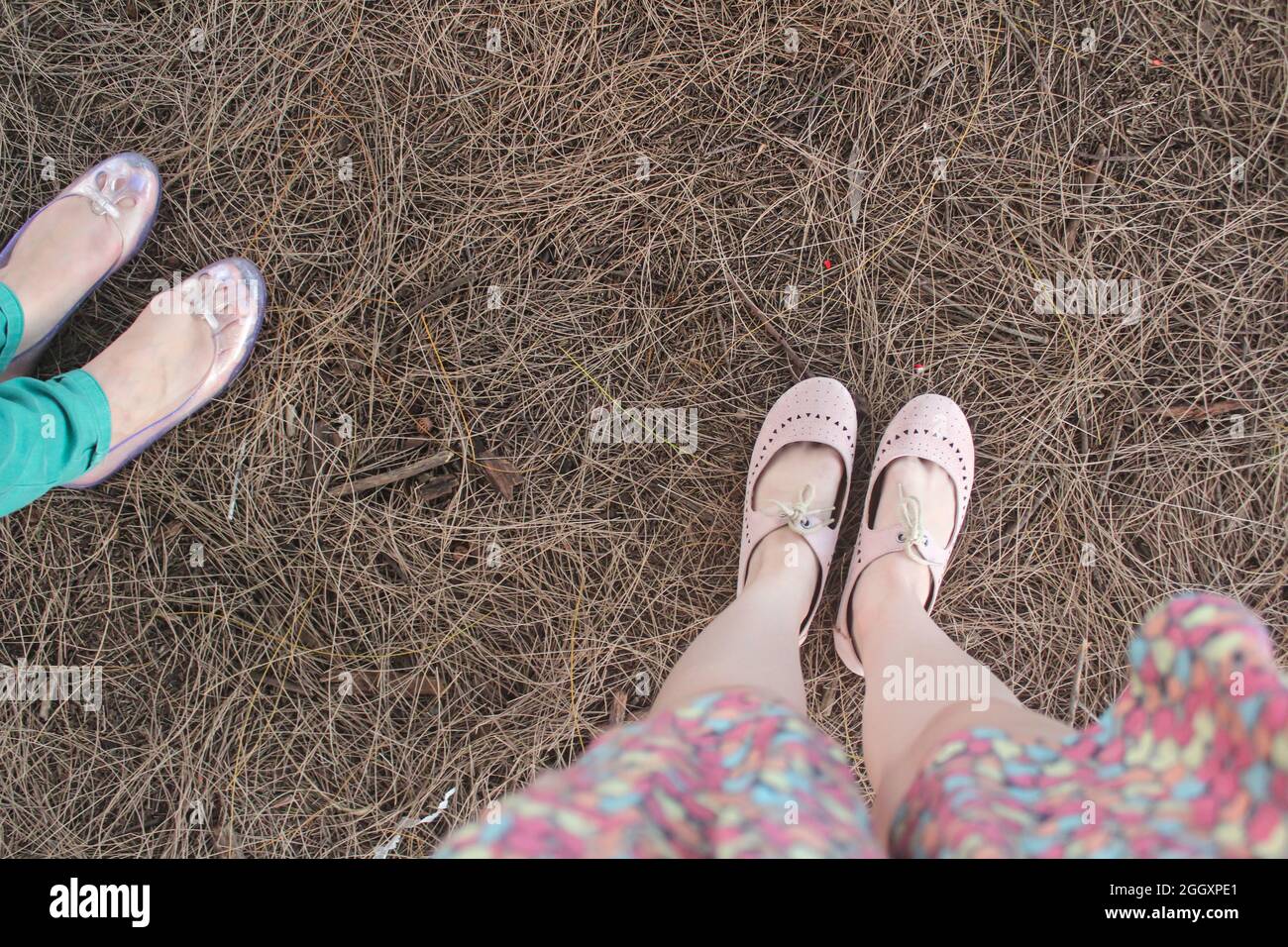 Dos mujeres de pie sobre heno seco y pasto con sus pies mostrando. Una mujer está usando zapatos planos claros y la otra está usando zapatos planos de color rosa suave. Foto de stock