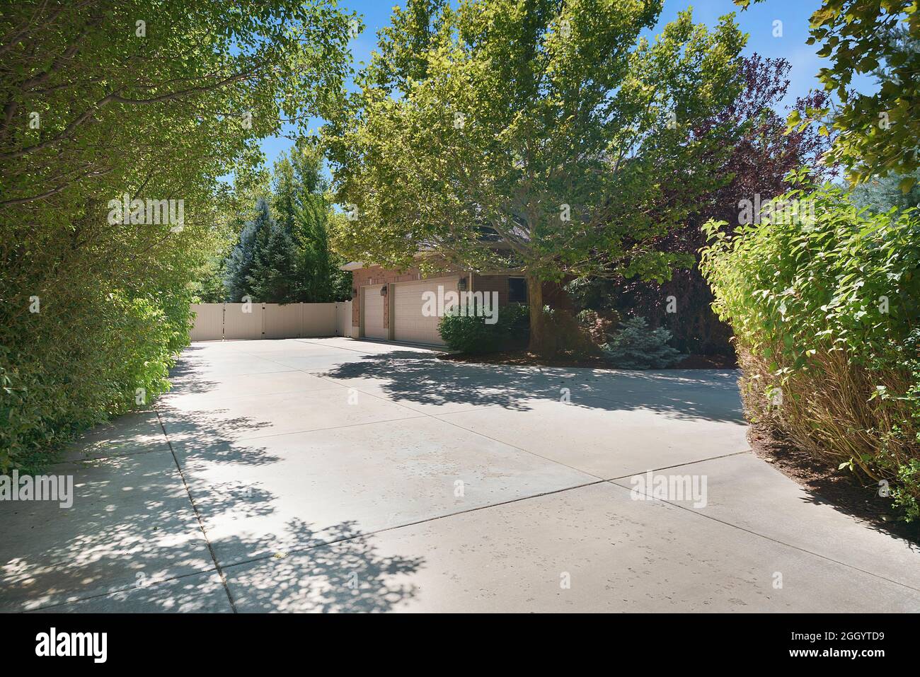 Gran patio trasero de una casa con entrada de hormigón en medio de árboles  y plantas Fotografía de stock - Alamy