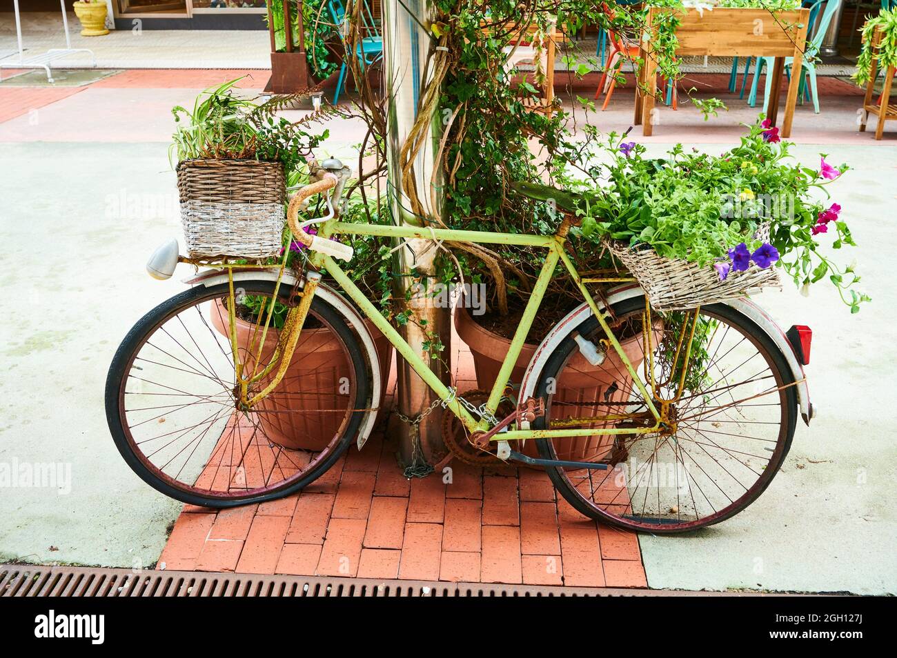 Bicicleta como elemento de diseño fotografías e imágenes de alta resolución  - Alamy