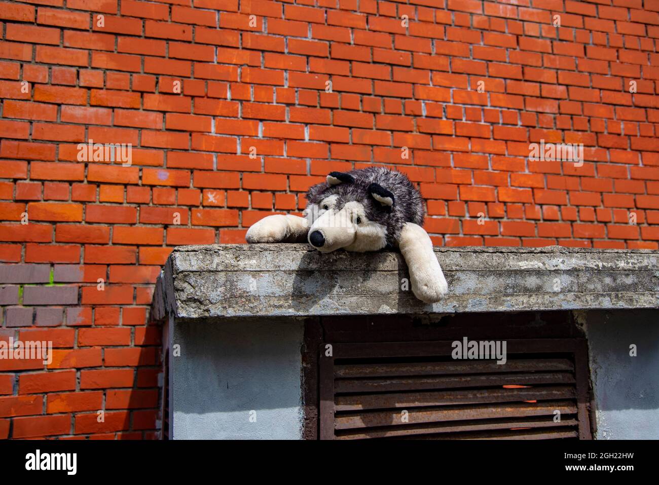Un enorme perro de juguete está tumbado contra una pared de ladrillo en la  calle. Un juguete de peluche abandonado Fotografía de stock - Alamy