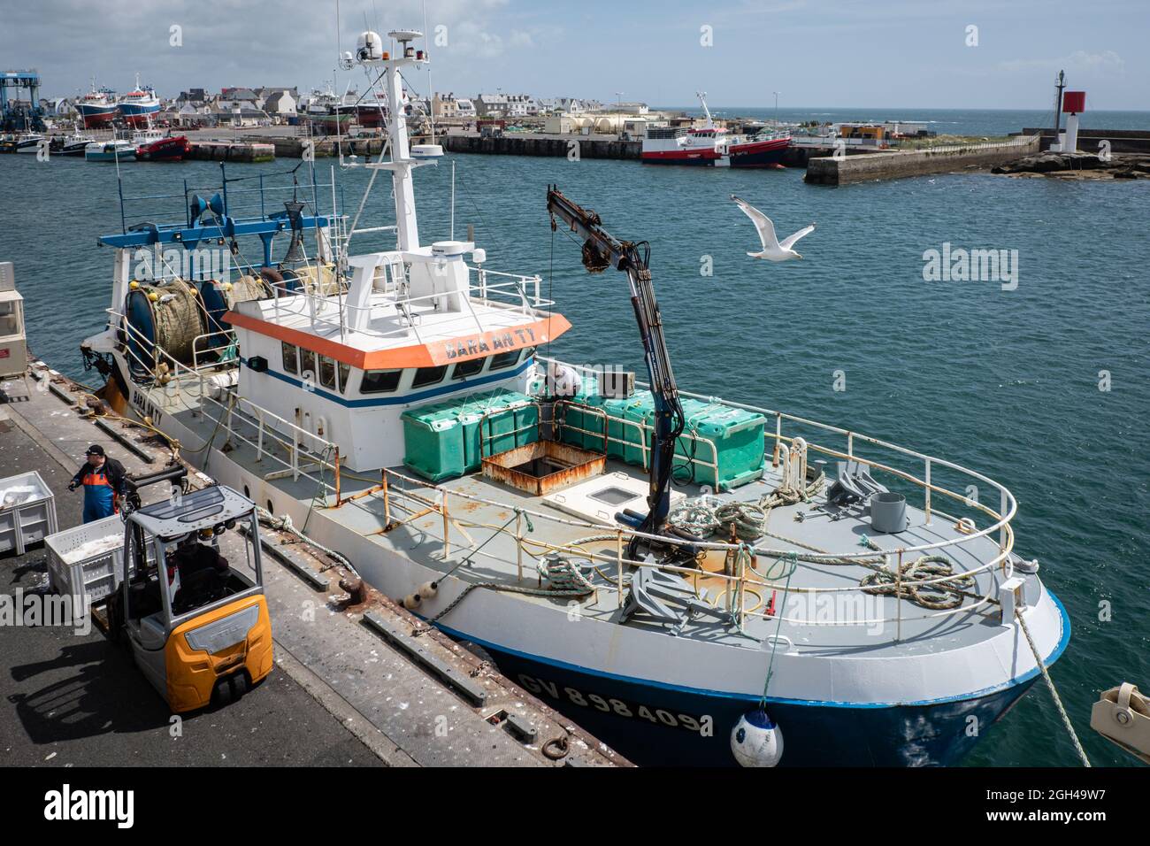 Le Guilvinec (Francia), 07 de agosto de 2021. Un barco de pesca que acaba  de llegar al puerto y los pescadores descargando cajas de pescado. Con una  gaviota volando encima Fotografía de