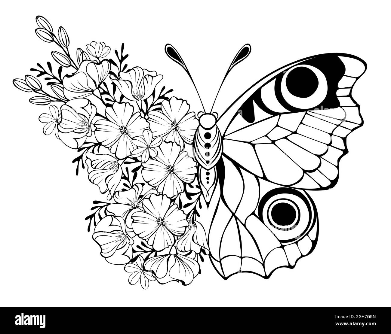 Contorno flor mariposa, ojo de pavo real con ala decorada con contorno de amapola de California y plantas silvestres sobre fondo blanco. Ilustración del Vector