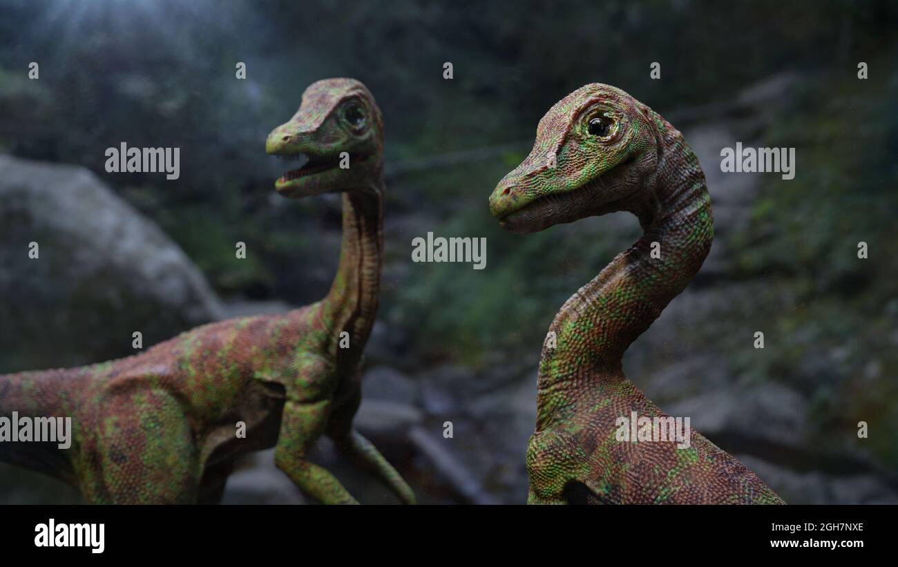 Compsognathus longipes, dinosaurios del período Jurásico tardío, 3D paleoart render Foto de stock